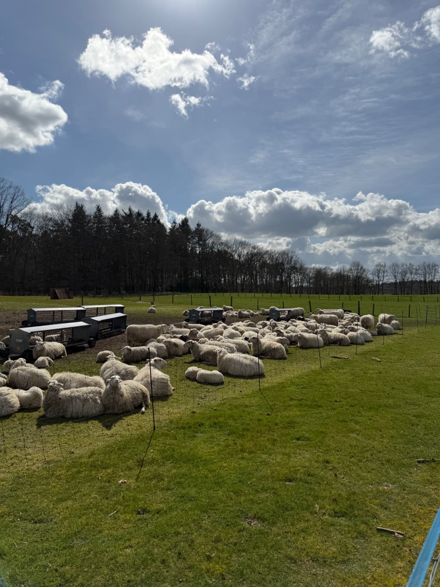 De start van het Lieserpfad